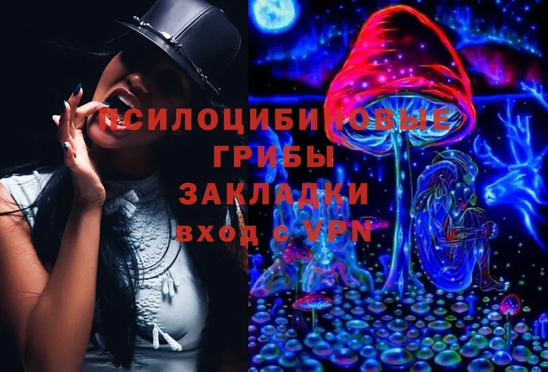 Галлюциногенные грибы Magic Shrooms  Галич 